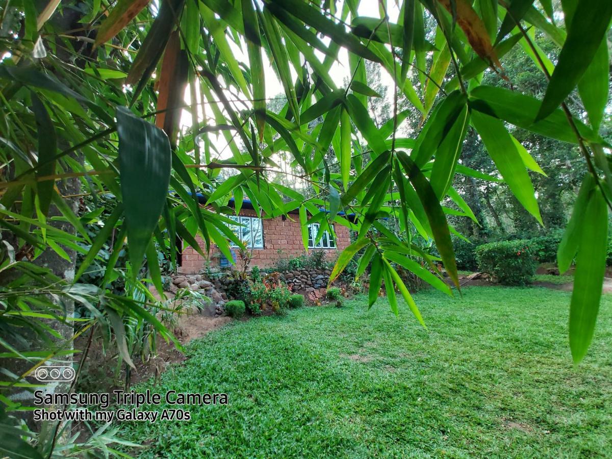 Apartamento The Dream Sanivarsante Exterior foto